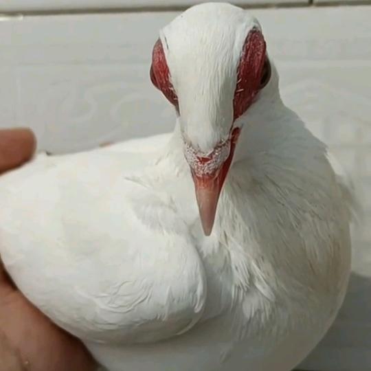 ༄℘⃝笑℘⃝着℘⃝退℘⃝场