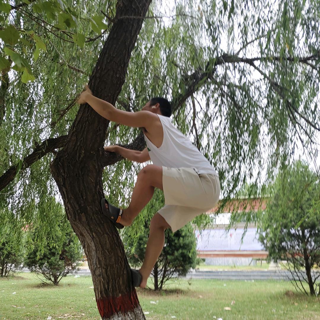 丁寨权火火辣子夹馍（配菜自选）