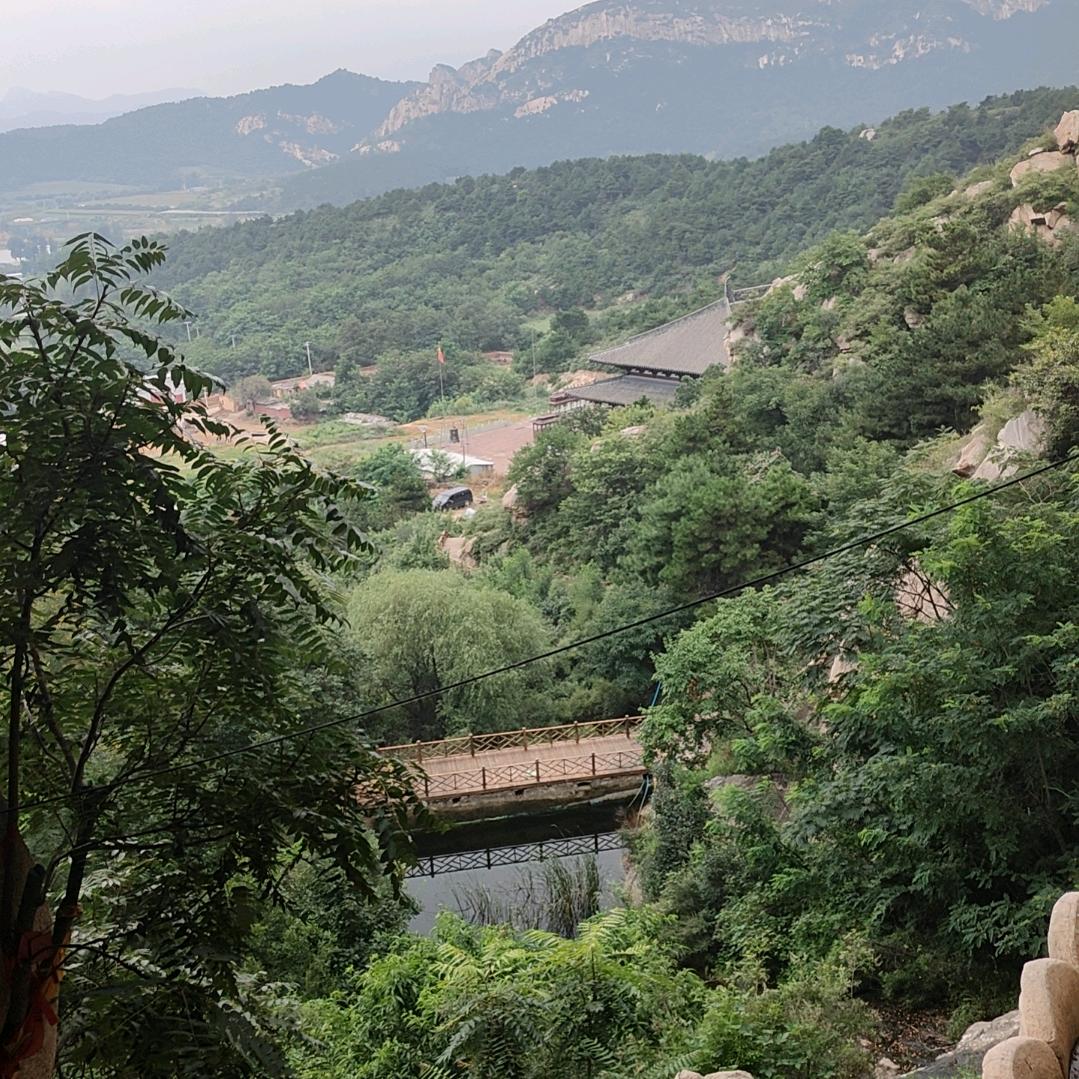 爆笑视频+关注嗷