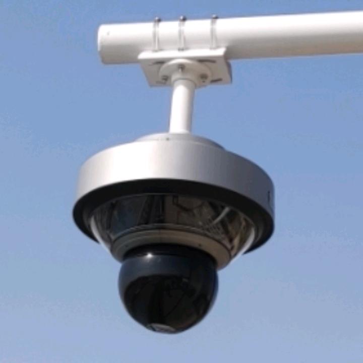 睡梦都想发一次财