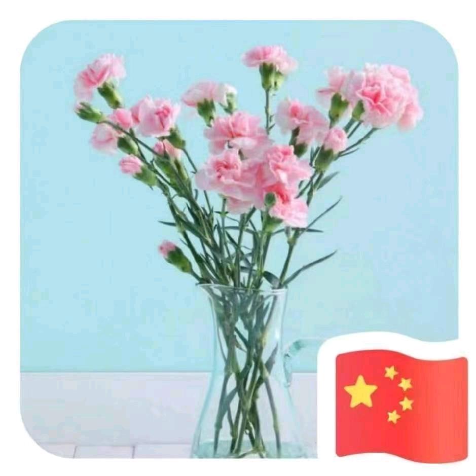 荣荣🌸🌸🌻🌻
