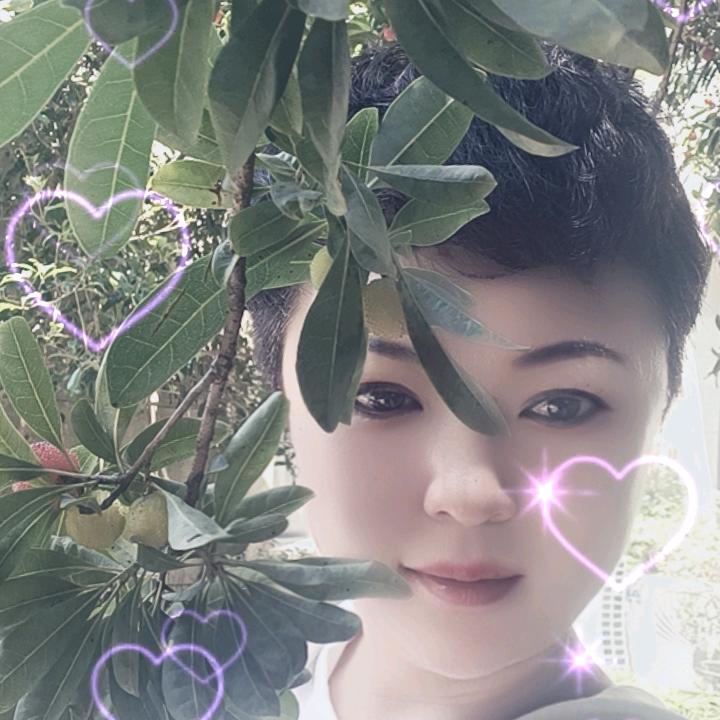 小颖ijlh
