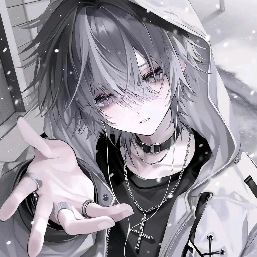 QH青禾同创