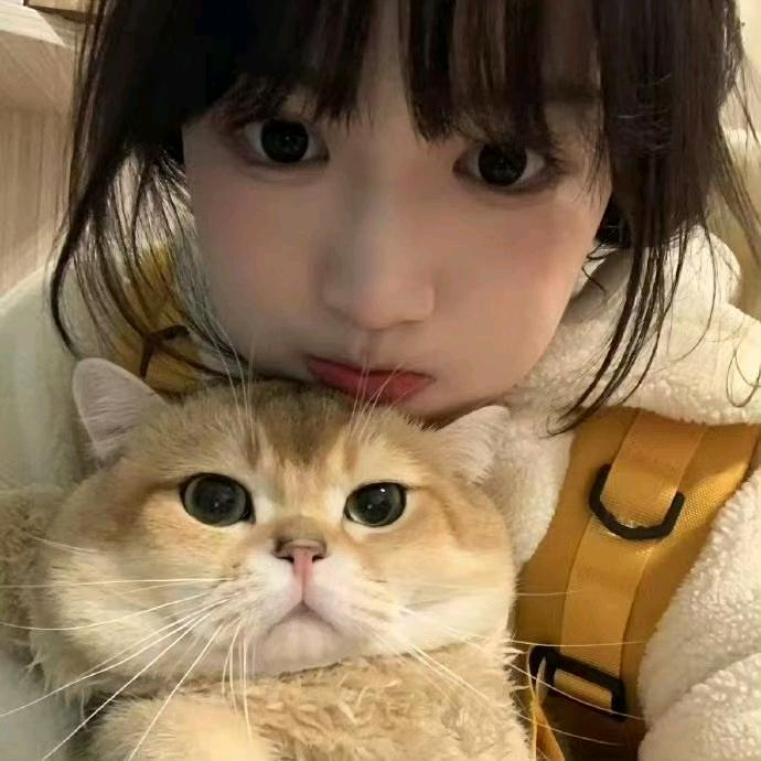 特意安