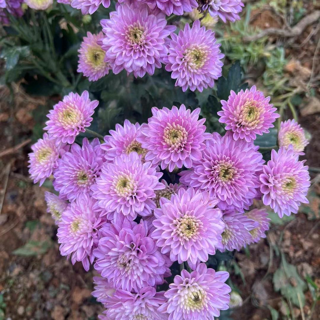 漫慢生活