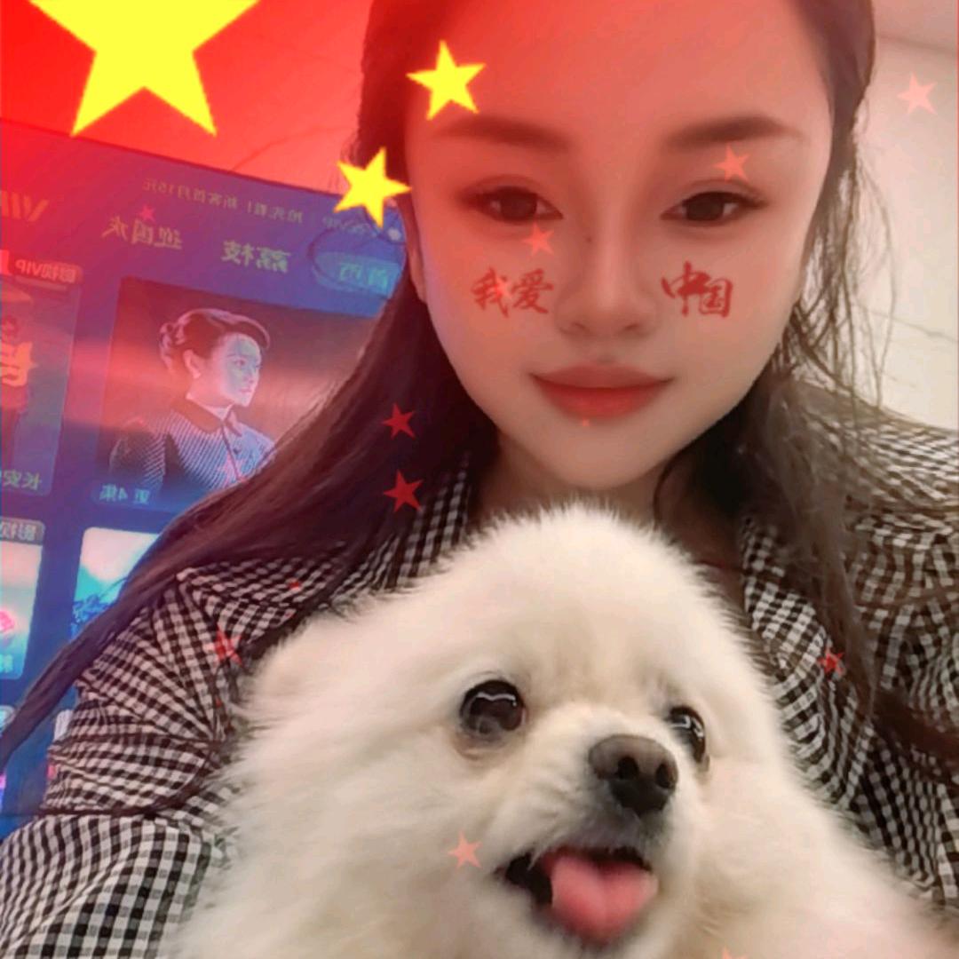 三只小猫咪