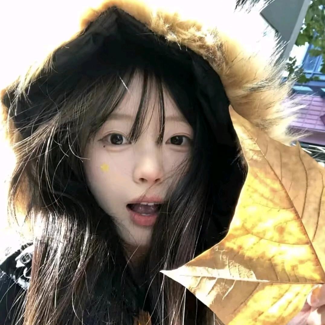 限定小欣.