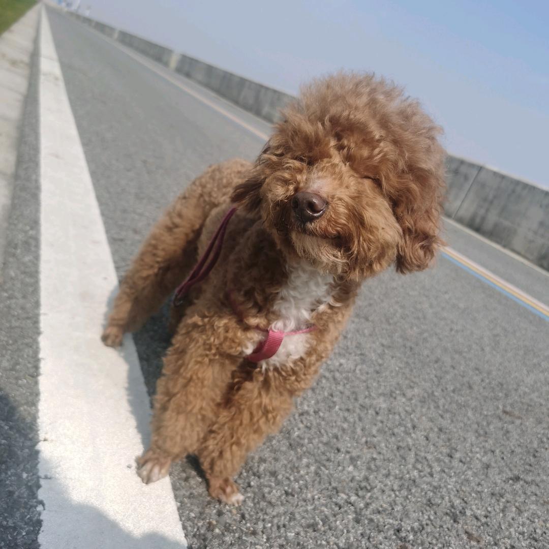 半婉✧٩(ˊωˋ*)و✧