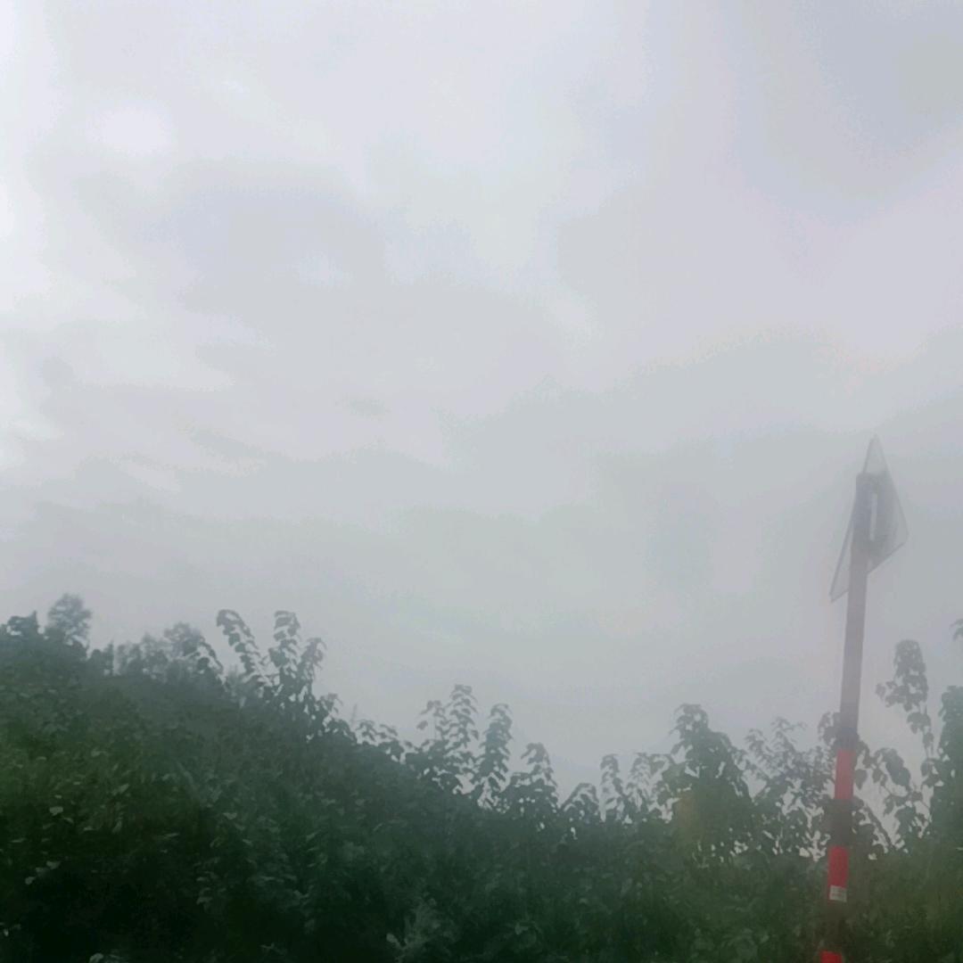 孩子们的皇阿爸