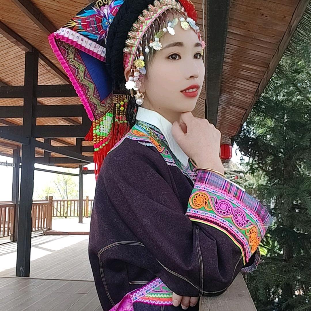 茶苗批发（李金丽）