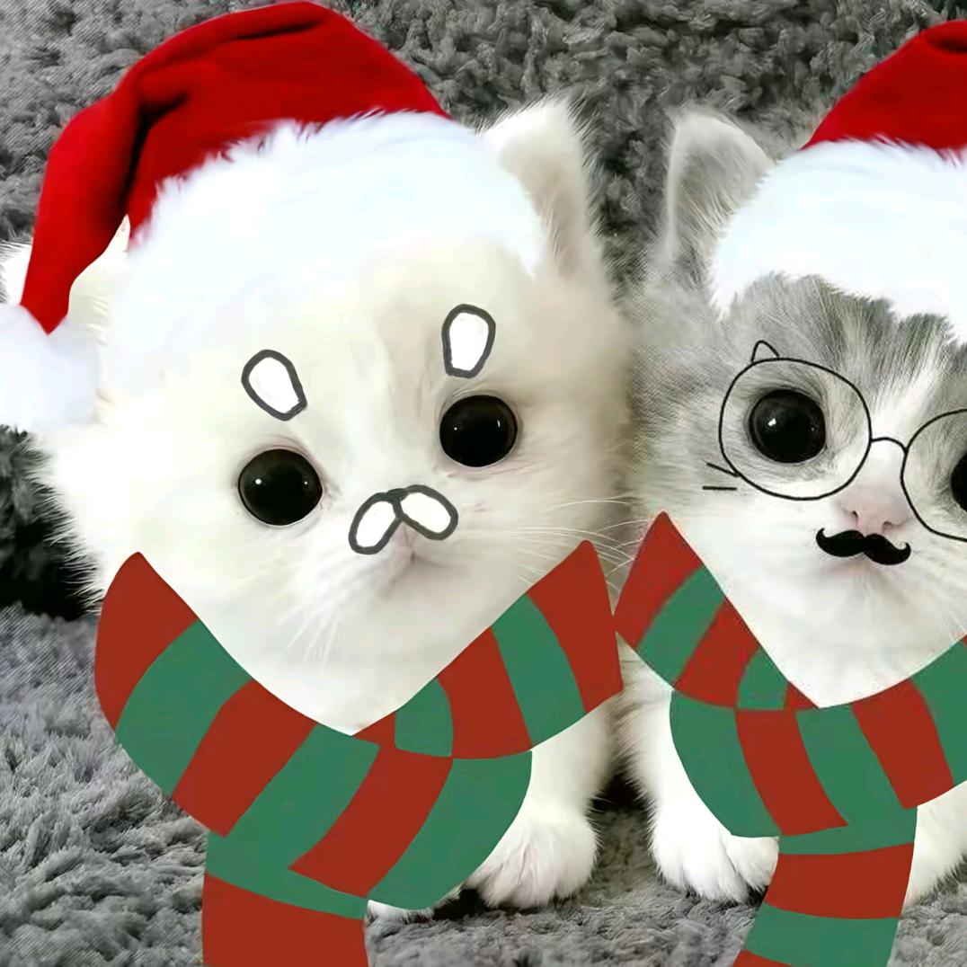 ￴￴ ￴ ￴ ￴￴￴