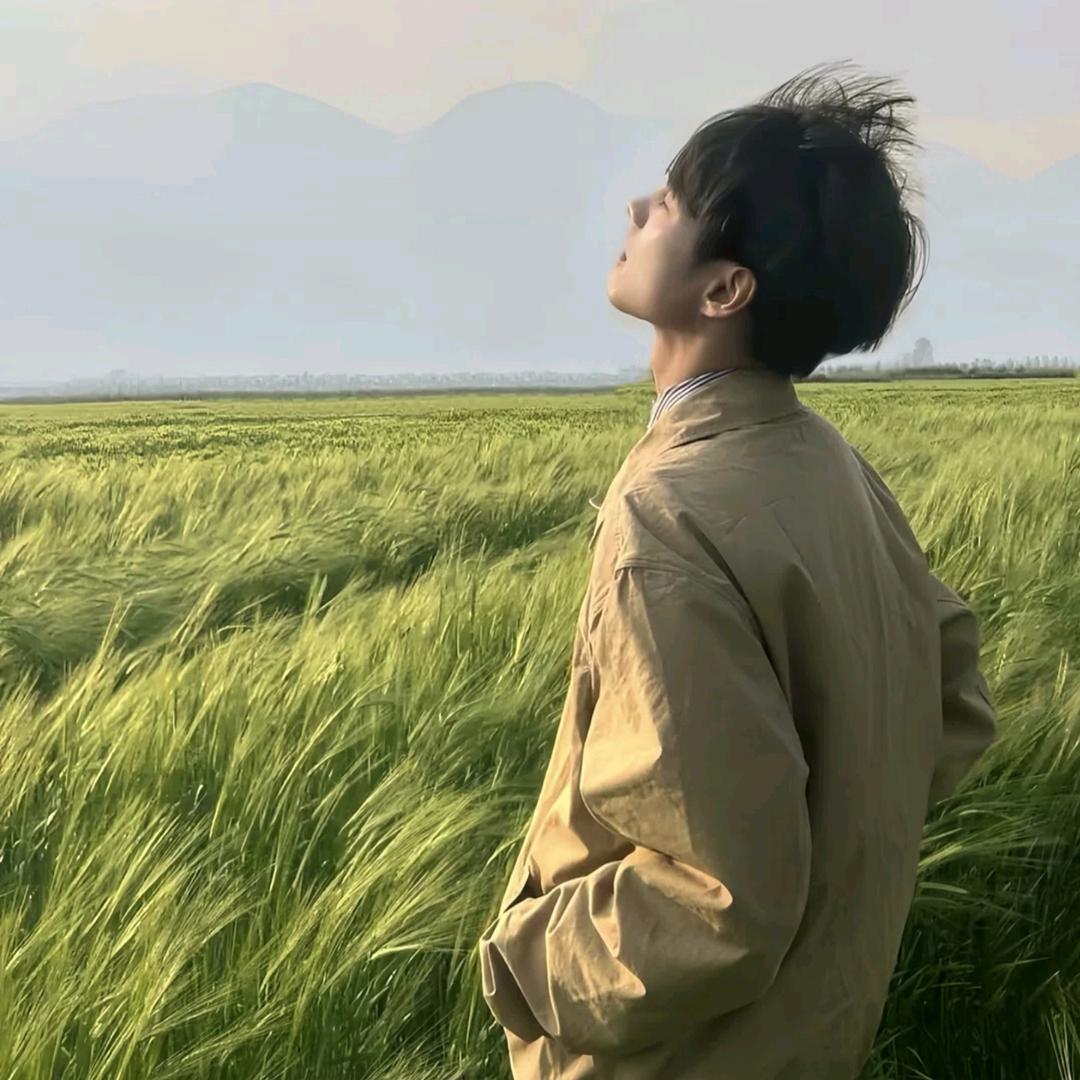 普洱