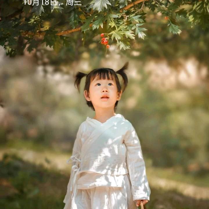 温暖的太阳