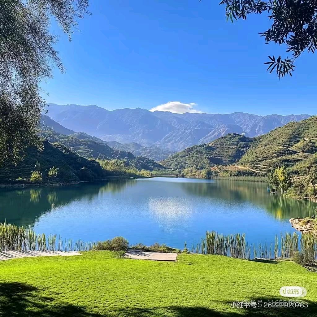 开封浩正(农资小王子）