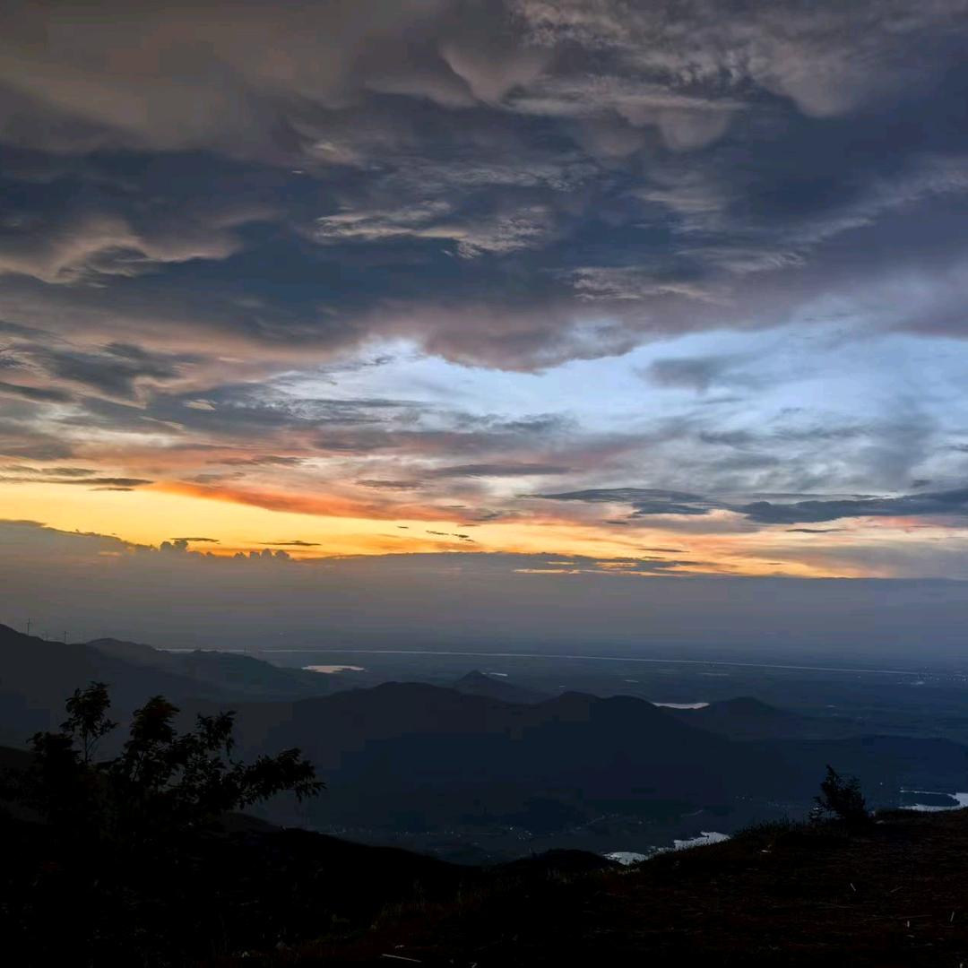 江西德民教育咨询服务有限公司