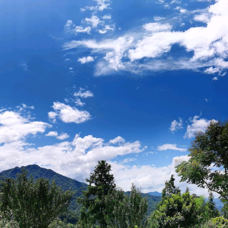 洁宝
