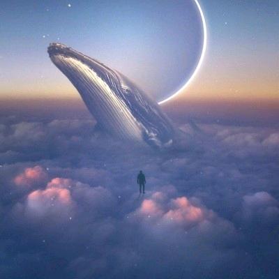 东东不淘气