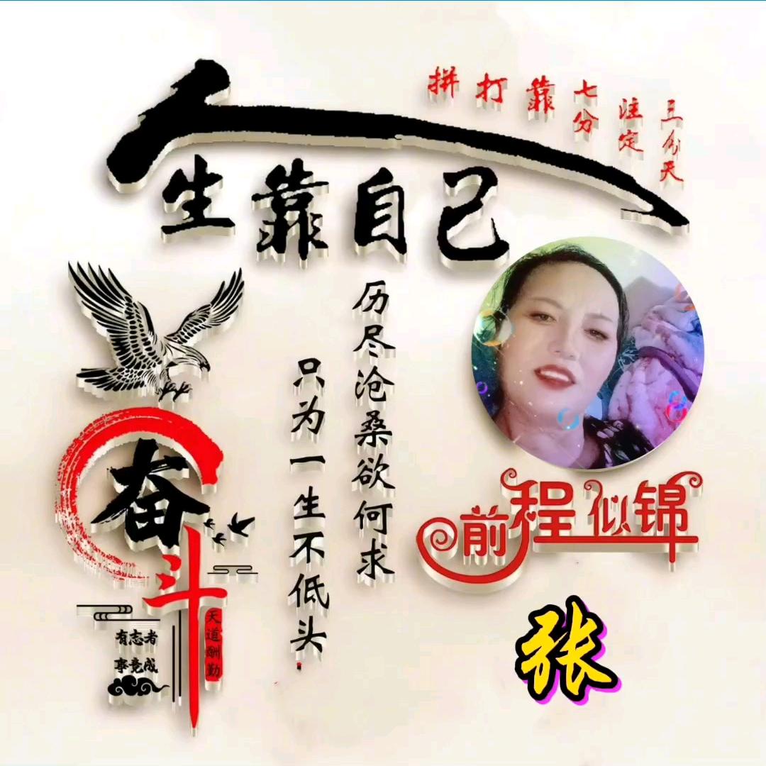 忘掉过去，从新开始，好好的搞钱，珍姐