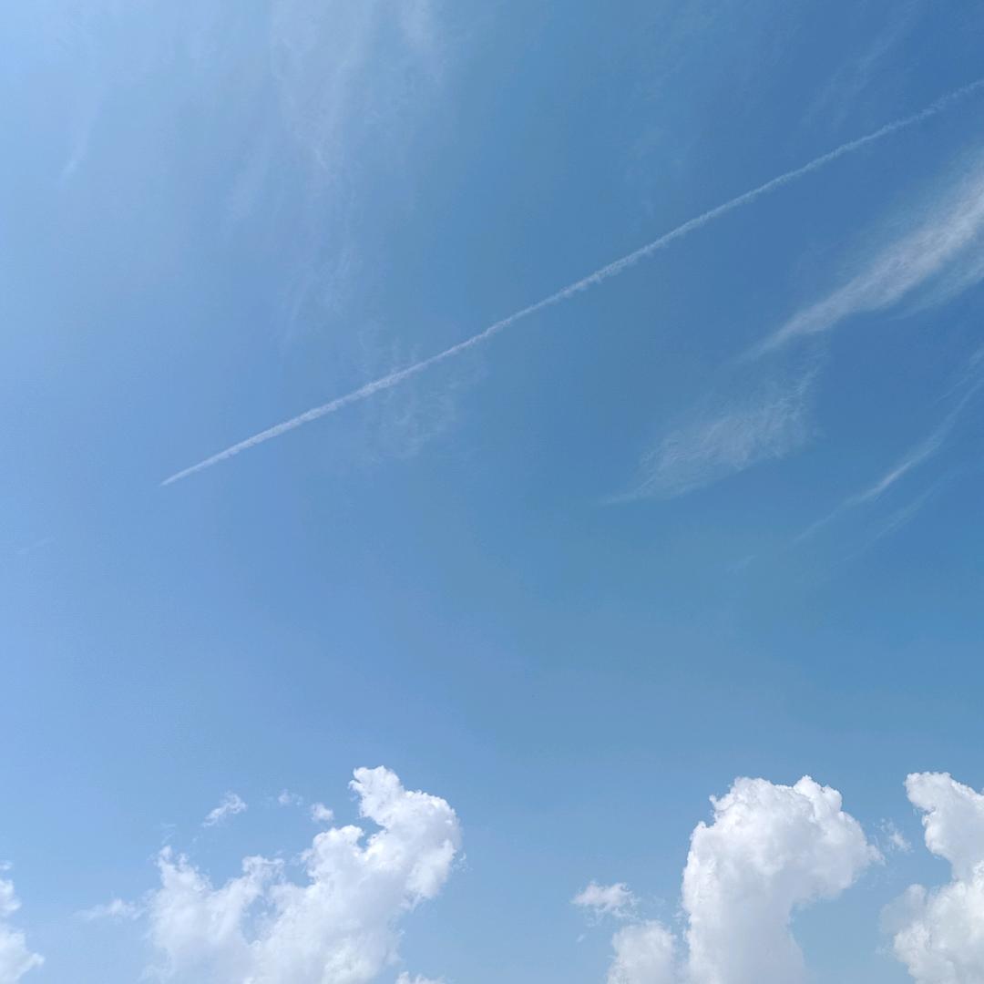 沫沫