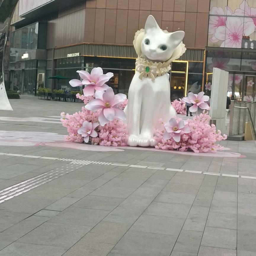 苏州家政。张姐。，💌💌