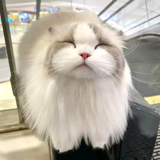 嘻嘻哈哈