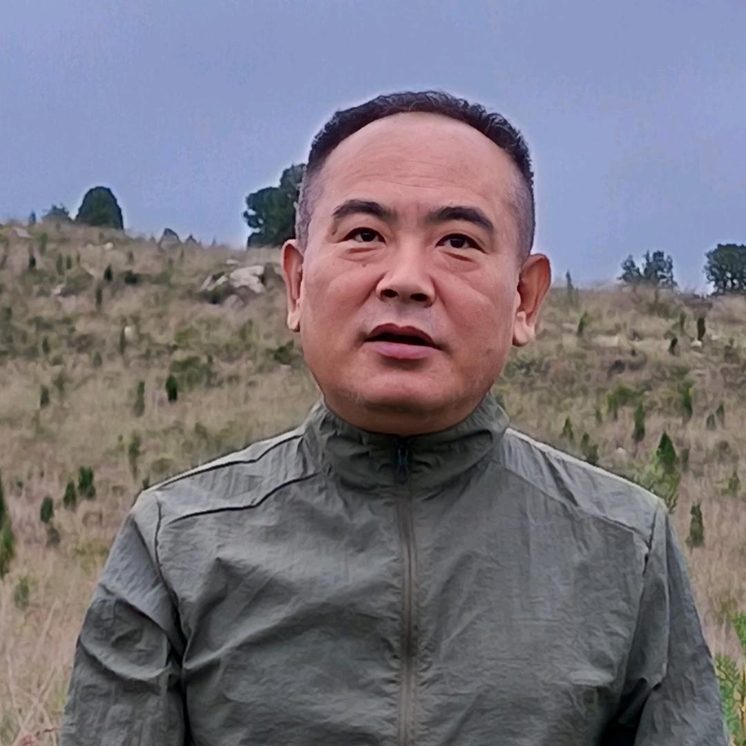 河口有风
