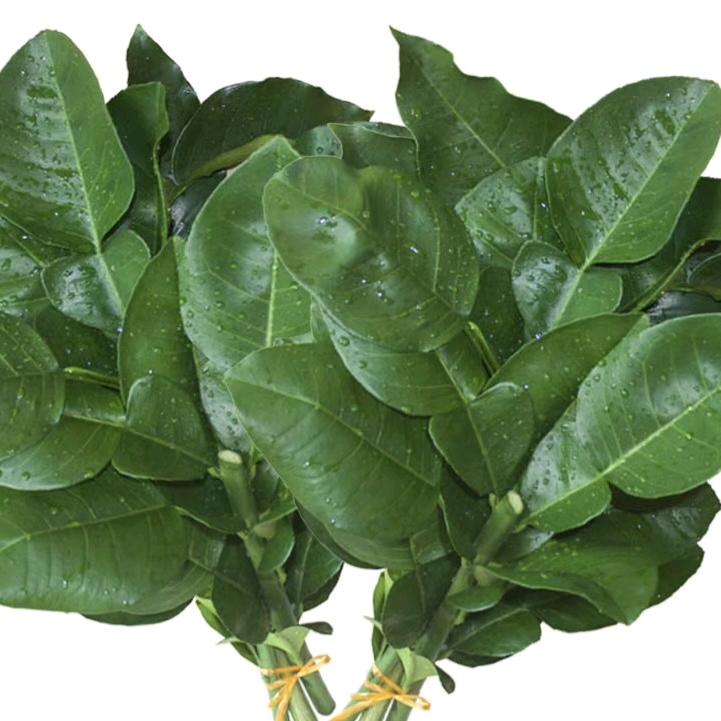 🍬甜莓撞好运🍭