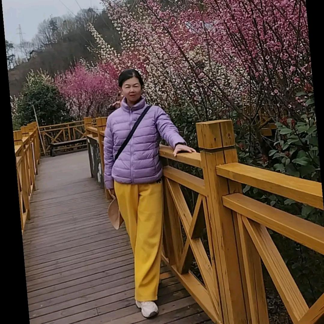 慧智蓝心_82415