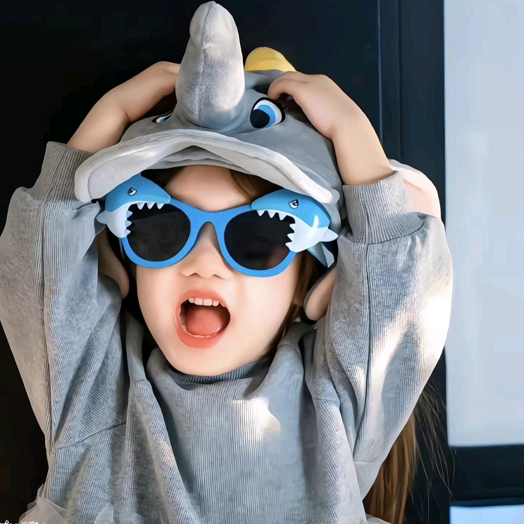 鱼翅饭团　　　　　　　　　　　　🪳