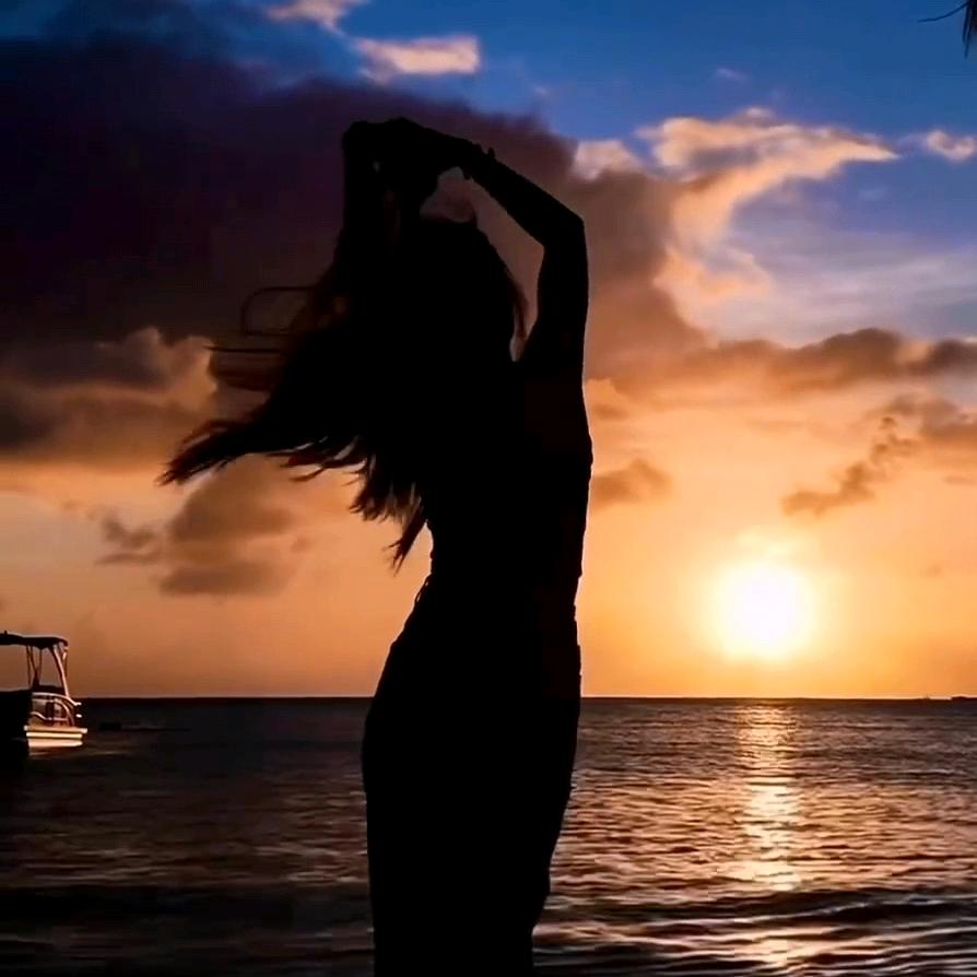 何夕🐬（重生版）