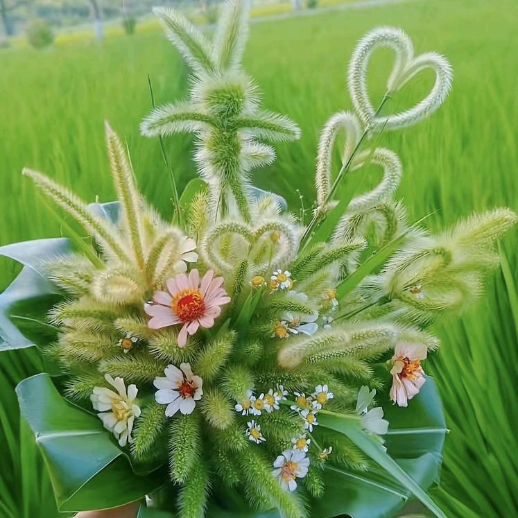 琦琦妈