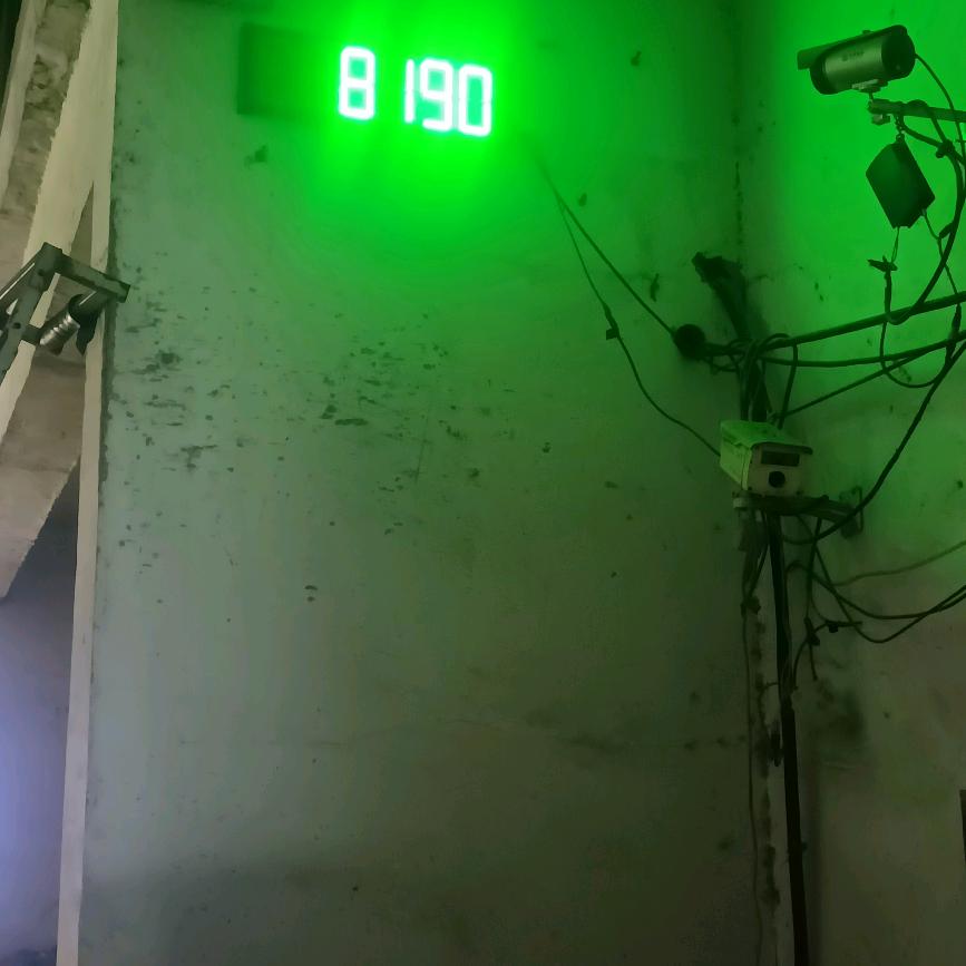 慧君（手机摄影）