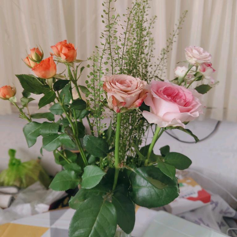 芽芽菜🌹
