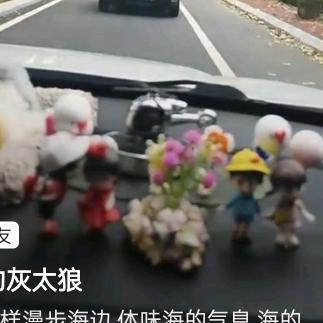平落梅香带雪