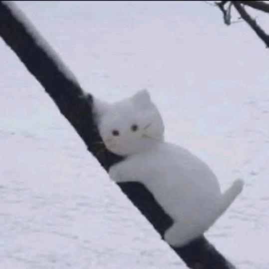 草莓味的小龙虾