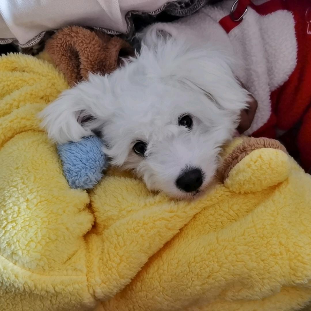 努力的人运气都不会差