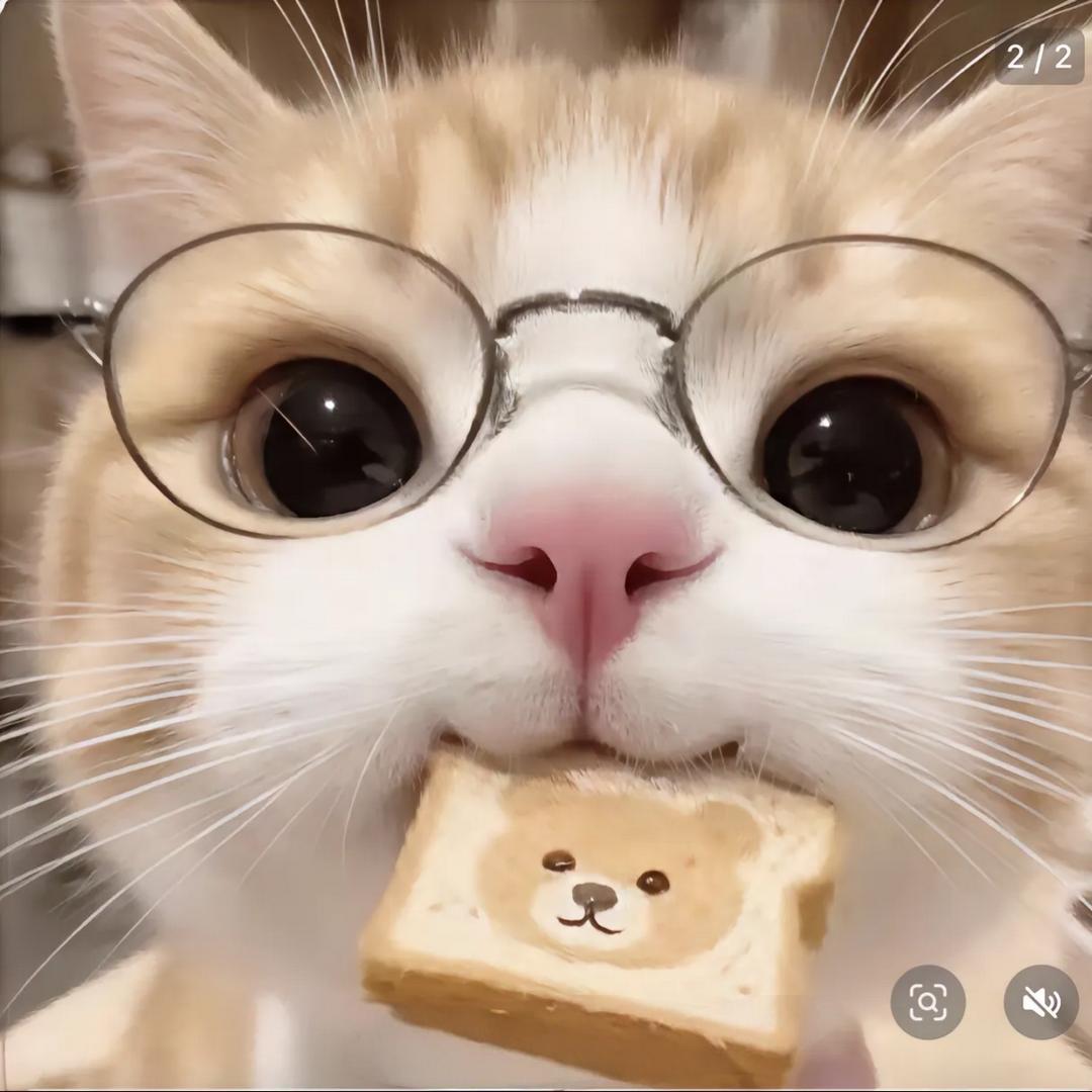 幺鱼儿