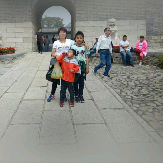 广胜批发桑梓五香豆片