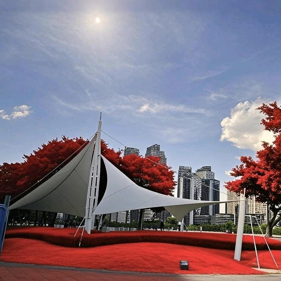 一朝红日出，依旧与天齐