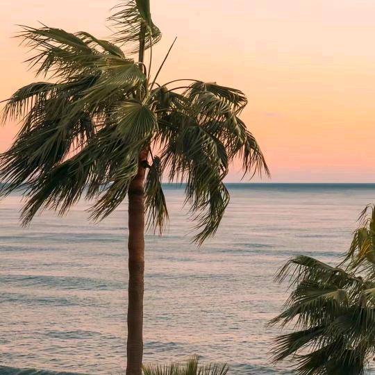 南皮酒店用品（陶瓷 不锈钢 一次性餐具）