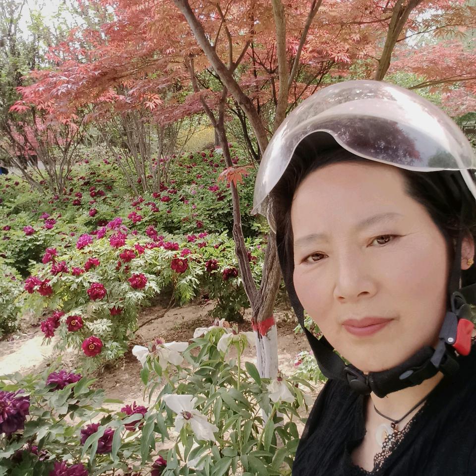 渭河边的莲花