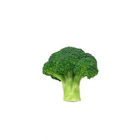 1111111111