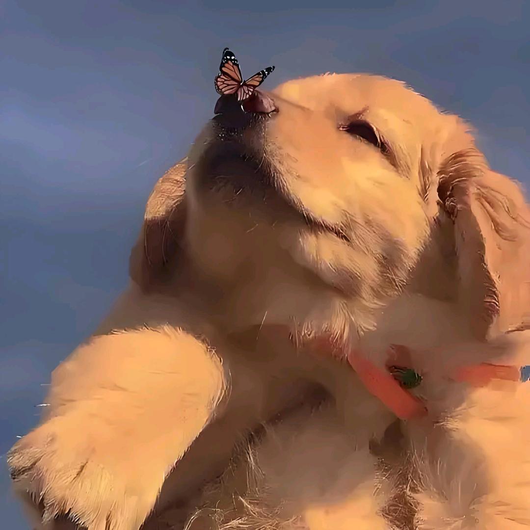 长沙市望城区绍虹战百货店（个体工商户）