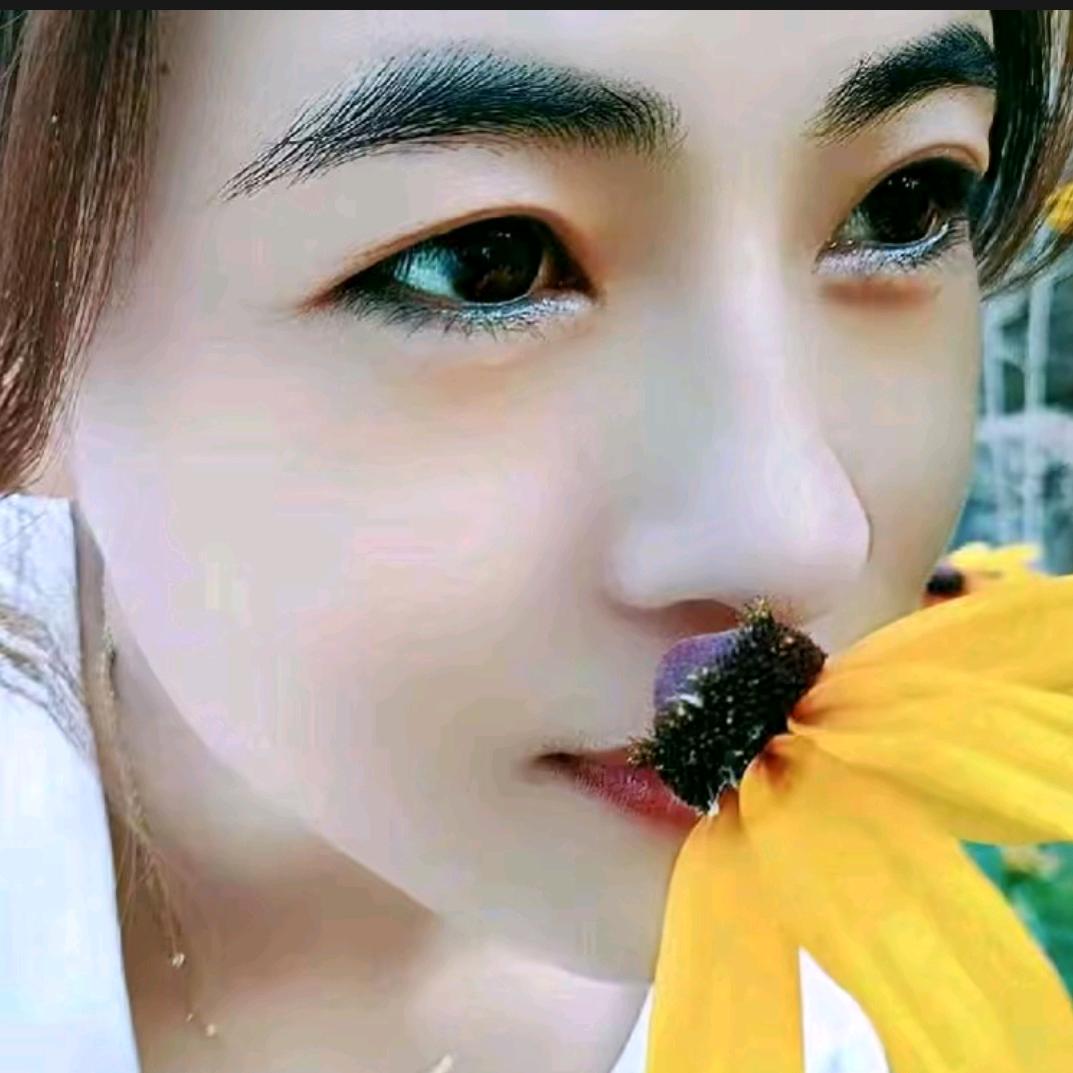 约定一生JVAn