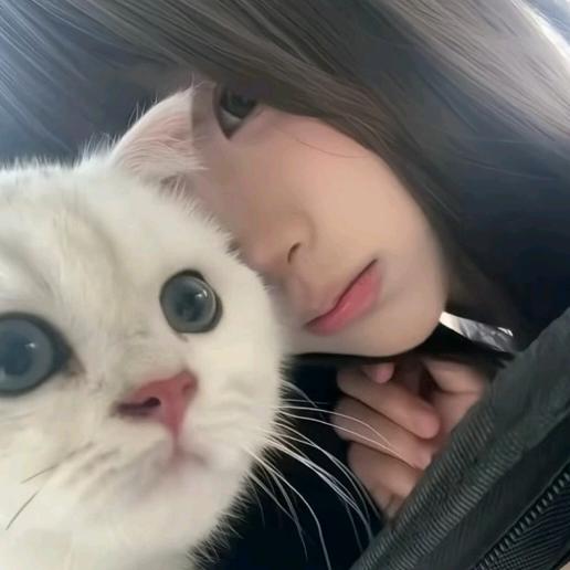 艺.