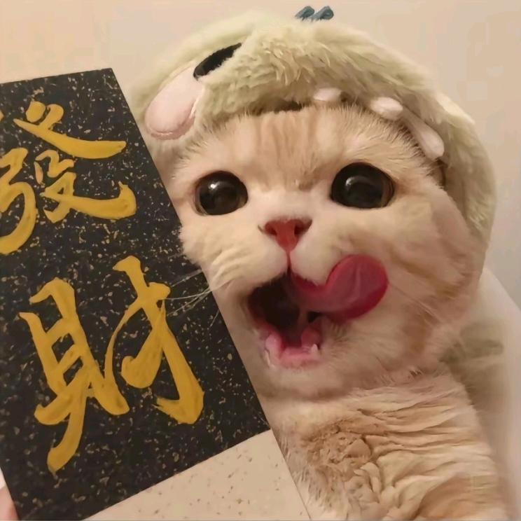 凜冬將至