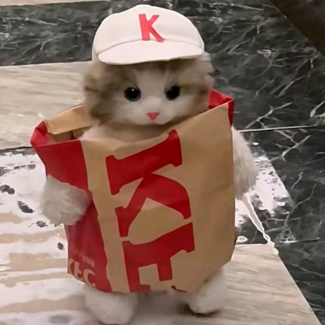 人丑嘴不甜长的危险还没钱👿