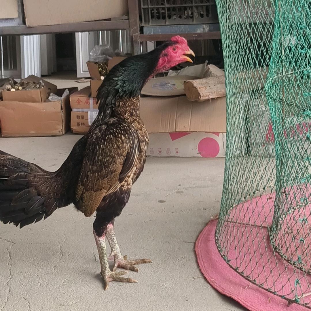 一生热爱回头太难