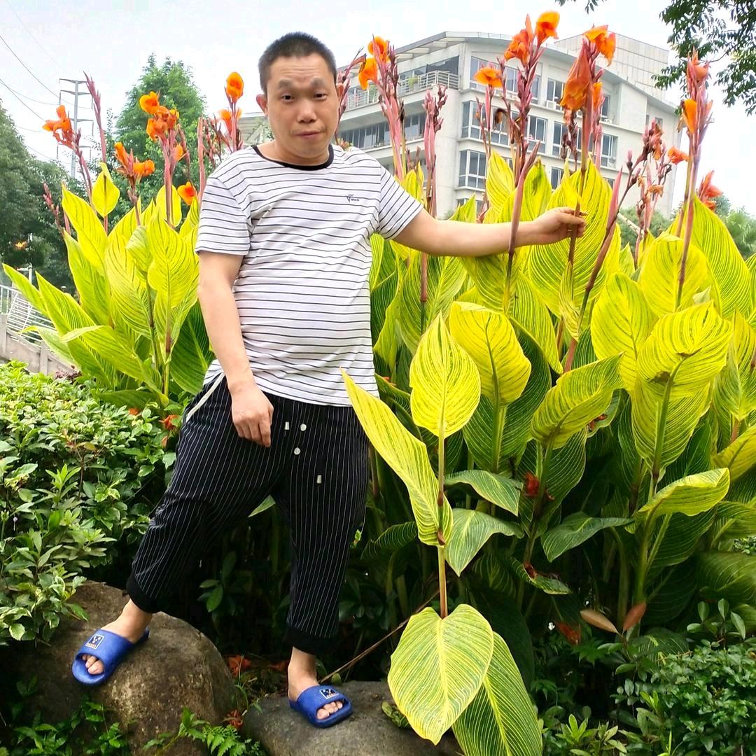 用户2758493097082杨清胜