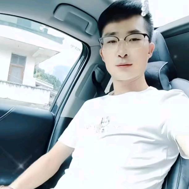 大雁驾到